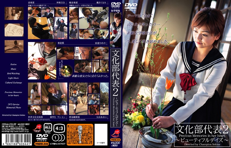 VNDS-344 カバー画像
