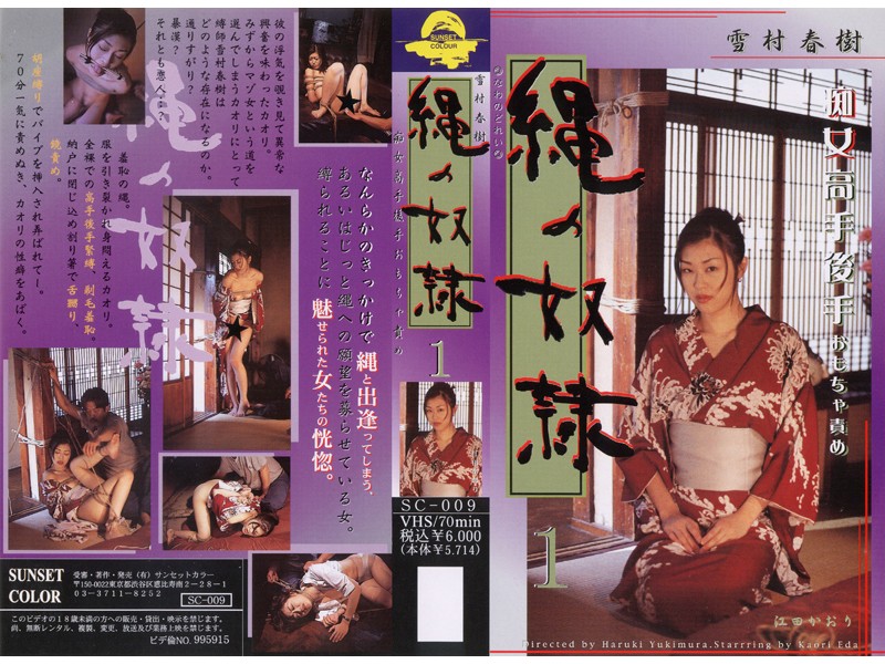 SC-009 Cover Image