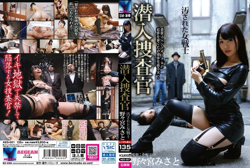 AES-001 Cover Image