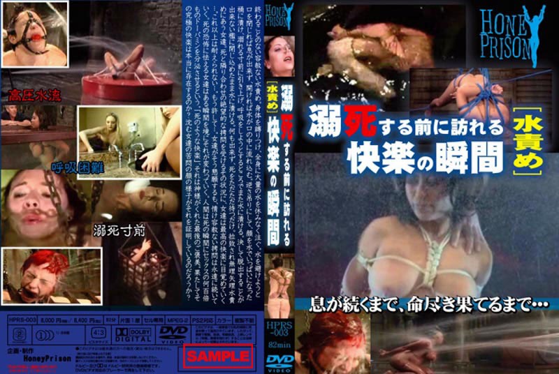 HPRS-003 Cover Image