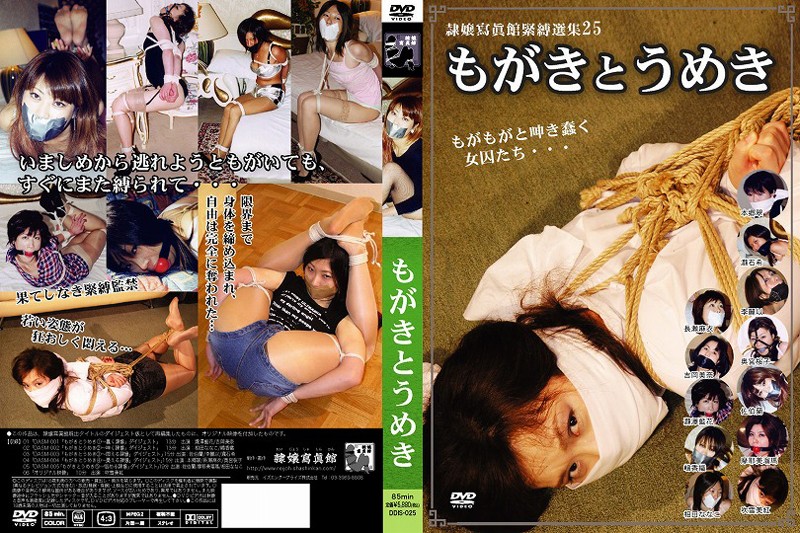 DDIS-025 Cover Image