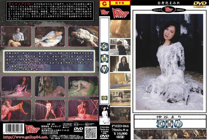 PMIDD-066 Cover Image