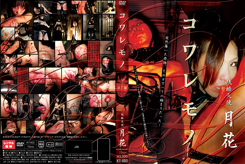 KT-602 Cover Image
