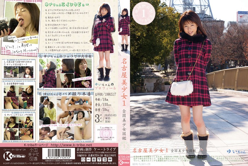 KTDS-210 Cover Image