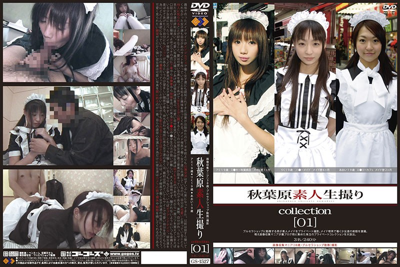 GS-527 Cover Image