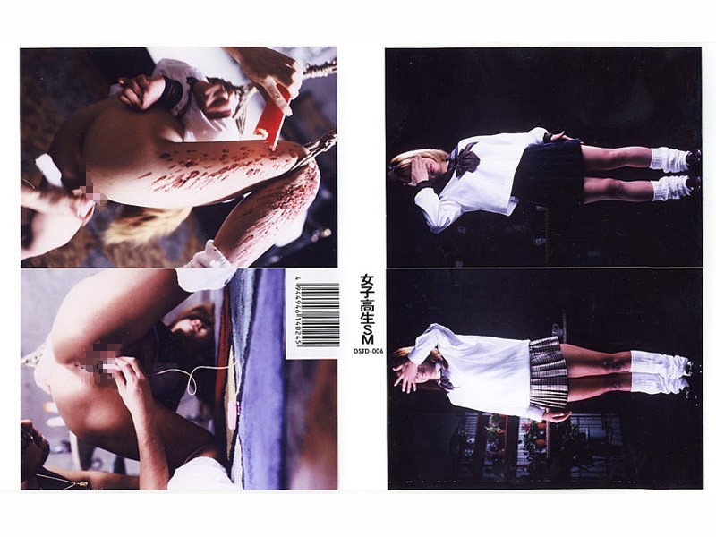 DSTD-006 Cover Image