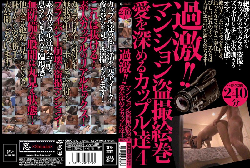SINO-240 カバー画像
