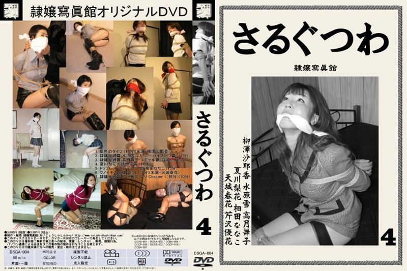 DSGA-004 カバー画像
