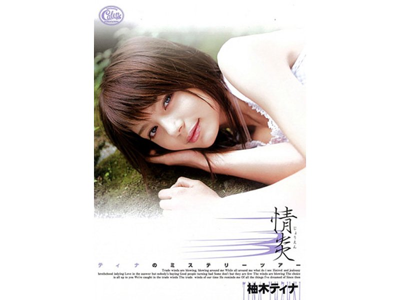 XV-446 Cover Image