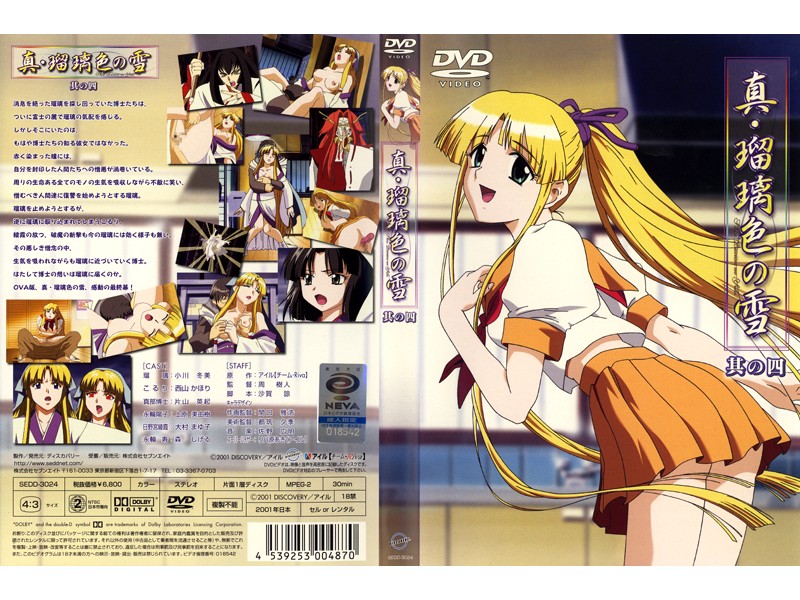 SEDD-3024 カバー画像