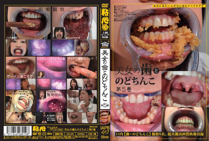IAPB-017 Cover Image