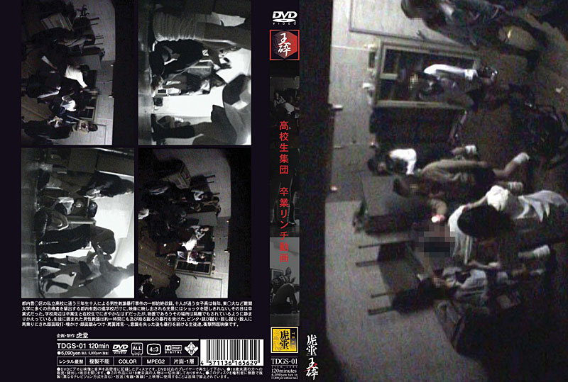 TDGS-01 Cover Image