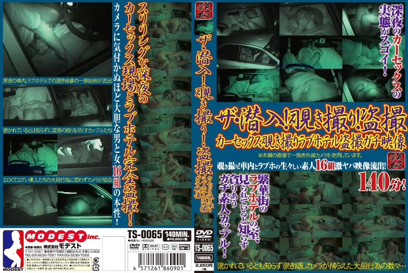 TS-0065 Cover Image
