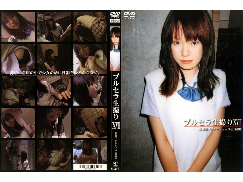 S-312 Cover Image