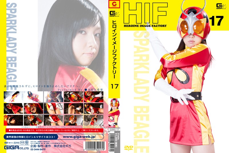 GIMG-17 Cover Image