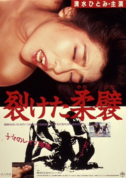 NKT-490 Cover Image