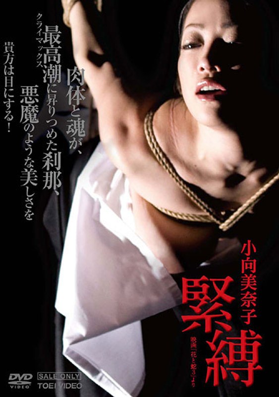 DSTD-03278 Cover Image