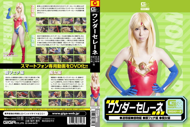 GDSC-28 カバー画像