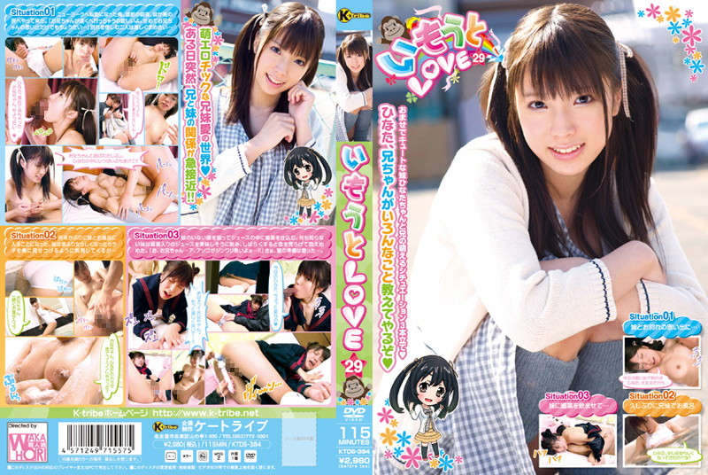 KTDS-384 Cover Image
