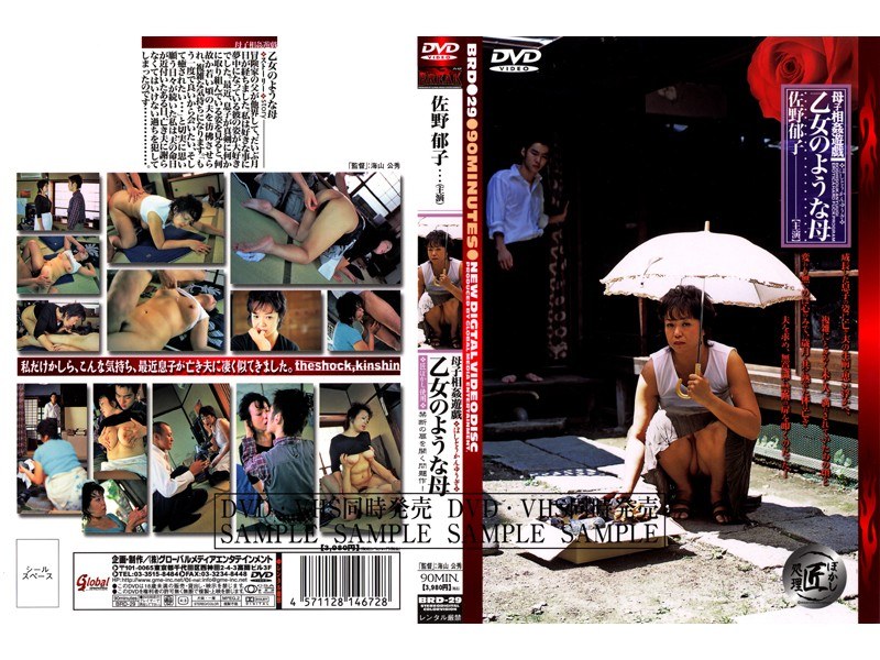 BRD-29 カバー画像
