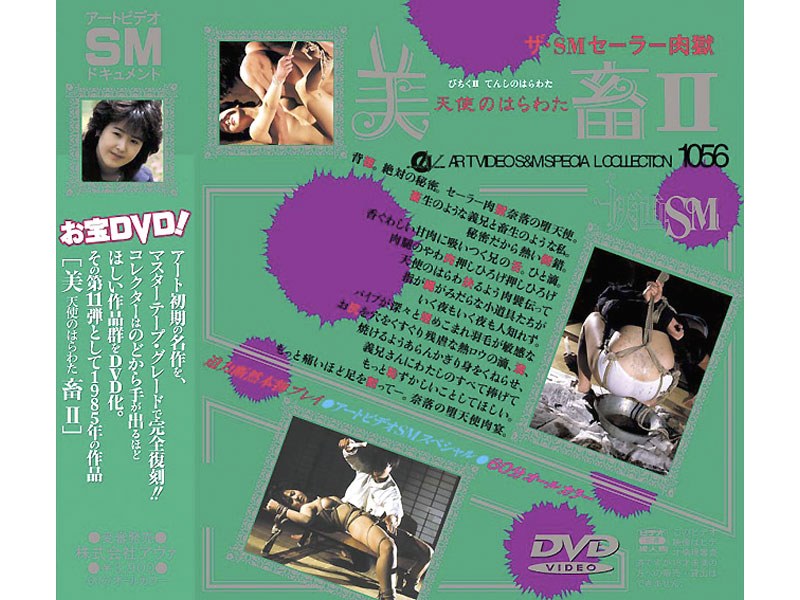 ADV-0094 Cover Image