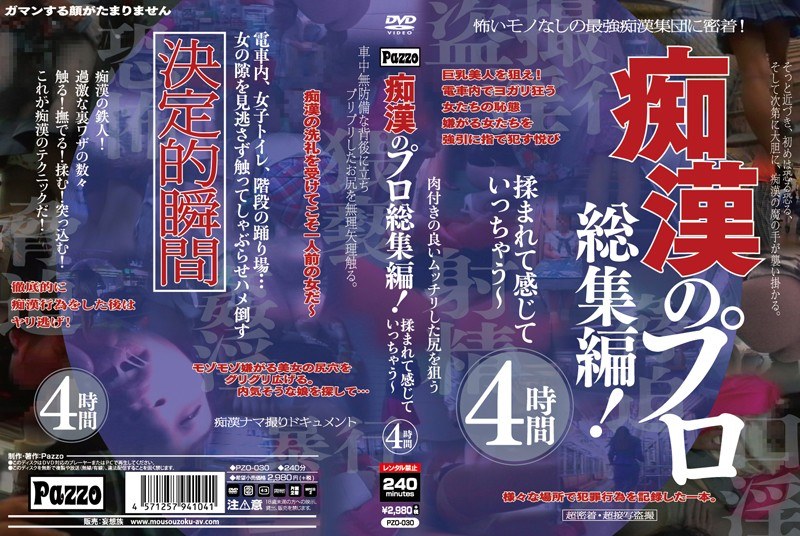 PZO-030 Cover Image
