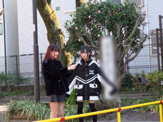 TCD-345 Preview Image