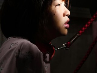 STARS-091 Preview Image