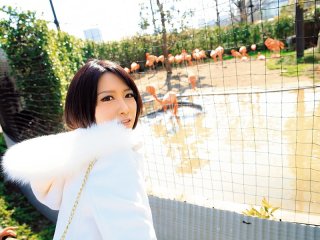 DVAJ-420 プレビュー画像
