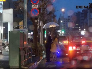 SDMU-788 Preview Image