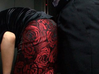 ARM-565 Preview Image
