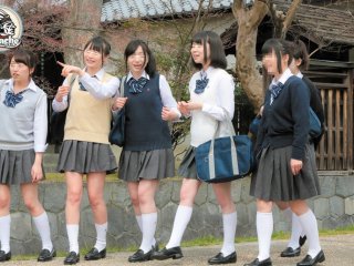 AP-323 Preview Image