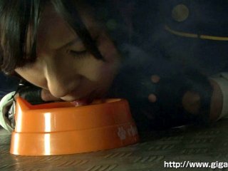 GIMG-16 Preview Image