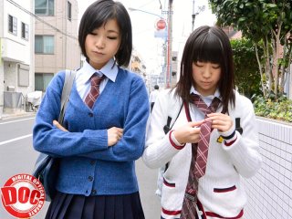 RTP-041 Preview Image