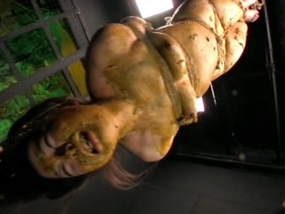 DDT-450 プレビュー画像