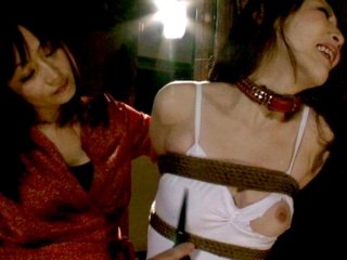CMV-038 Preview Image