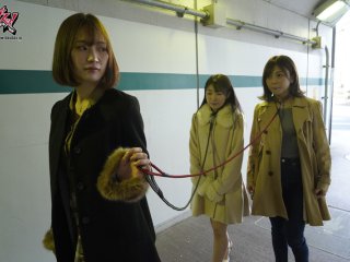 DASS-012 Preview Image