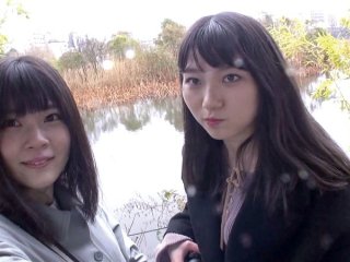 C-2559 プレビュー画像