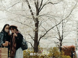 PTS-516 プレビュー画像
