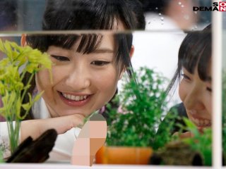 SDDE-556 プレビュー画像