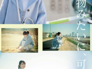 MIDV-394 プレビュー画像