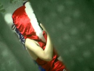 C-1388 プレビュー画像