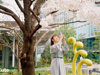 SQTE-497 プレビュー画像