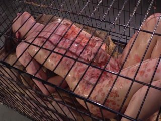 CMV-193 プレビュー画像