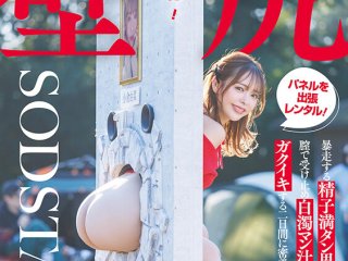 START-311 Preview Image
