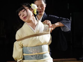MYB-007 Preview Image