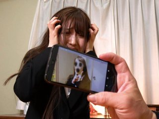 REXD-400 Preview Image