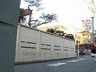 SUJI-150 プレビュー画像