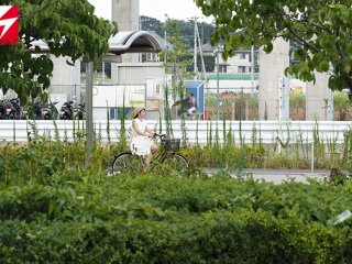 NNPJ-304 プレビュー画像