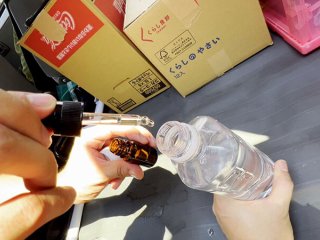 GEBB-035 プレビュー画像
